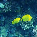  , , 59  -  16  2015    Ż