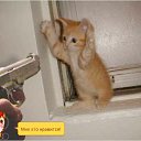 ���� ���������, ��, 64 ���� - ��������� 23 ������� 2015 � ������ ������ ��������