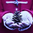  K A R O L I N A,  -  10  2015    