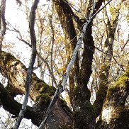 Vladimir, 63 ����, ������