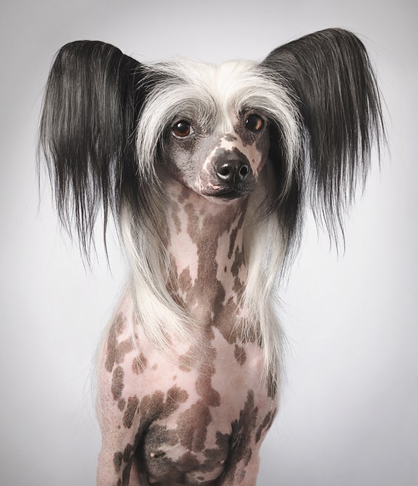 Tim Flach    .     ,   ... - 2
