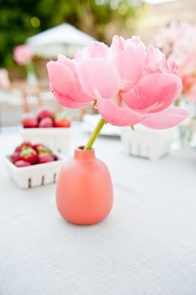 ���� ��������� �������, ����� ��� ��������, ��� ����� ��������, ��� �������� �����: 