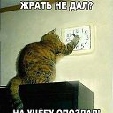 ���� ������, �����, 54 ���� - ��������� 4 ������ 2015 � ������ ������ ��������