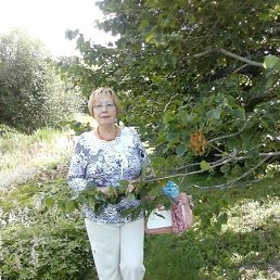 ���� Vera, ������, 78 ��� - ��������� 24 ������ 2016