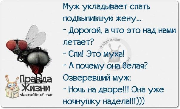  - 5  2015  23:13