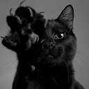 ���� �����, ������ - ��������� 22 ������ 2015 � ������ ���� ����������