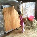 ���� ������, ������ - ��������� 29 ������ 2015 � ������ �������� ��������