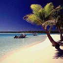  Karen, , 53  -  2  2016    