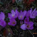 ������������ � �������. �� ������� ���� ����������