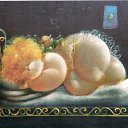 ���� �������, ������, 52 ���� - ��������� 13 ������ 2015 � ������ �Nicola Vietti�