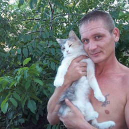 �������, ���������, 45 ���