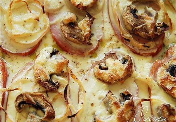 ���� ��� ��������. ��� �����������: ������� ����� ��������� 1.0 �� ������� ���������������� 1.0 ... - 8