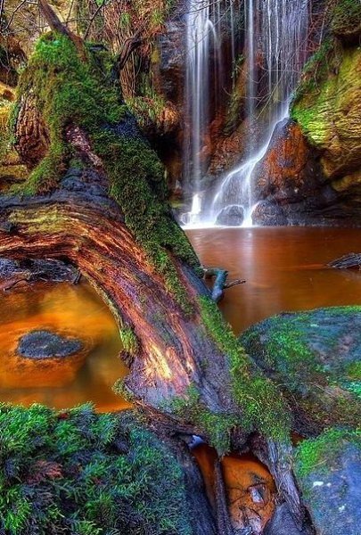 Счастлив не тот, кто имеет всё лучшее, а тот, кто извлекает всё лучшее из того, что имеет. - 4