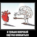 ���� Dima, �����-��������� - ��������� 26 �������� 2015 � ������ ������ ��������