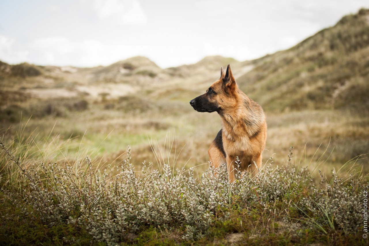 ������ ������ - 28 �������� 2015 � 21:06