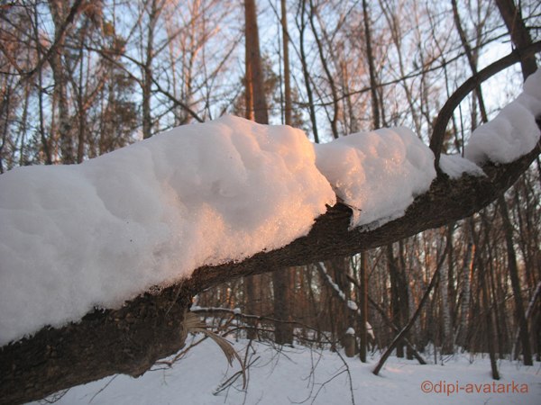 dipi-avatarka - 10  2016  19:42