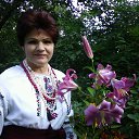 ���� ������, ����, 67 ��� - ��������� 12 ������ 2016 � ������ ���� ����������