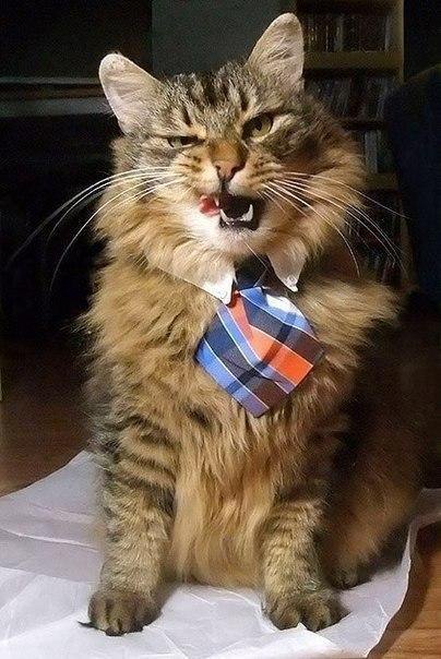    -  . , , ,   .    , ...