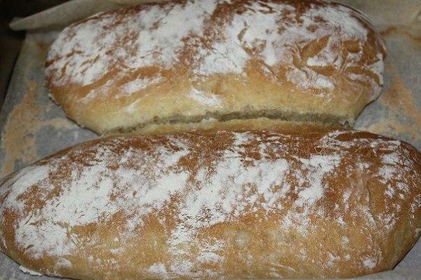   .   . (. ciabatta)    , ... - 10