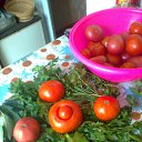 ���� ������, ����������, 81 ��� - ��������� 26 ������� 2015 � ������ ������ ��������