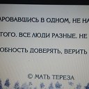 ���� Nelli, ������ - ��������� 1 ������� 2015 � ������ ������ ��������