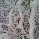 ���� ������, �����-��������� - ��������� 20 ������ 2016 � ������ ������� ���������