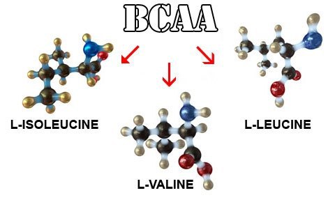  BCAA     !    , ,   ...