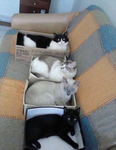 , , !!!)))
