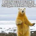 ���� ���, ������, 48 ��� - ��������� 9 ������� 2016 � ������ ���� ����������