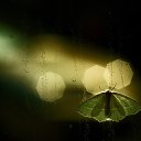 ���� ������, ������������ - ��������� 21 ������� 2016 � ������ ������ ��������