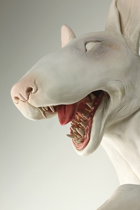 Вот откуда мифы про три ряда зубов)) видимо где-то там и защелки можно разглядеть)