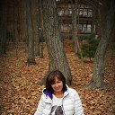 ���� �������, �����������, 58 ��� - ��������� 8 ������� 2015 � ������ ���� ����������