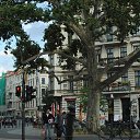 ������� �� ������� ������ ��������