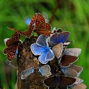  ,  -  18  2016     Ȼ