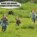 ���� �������, �����, 29 ��� - ��������� 13 ������� 2016 � ������ ������ ��������