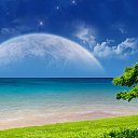 ���� �����, �����-���������, 59 ��� - ��������� 29 ������� 2016