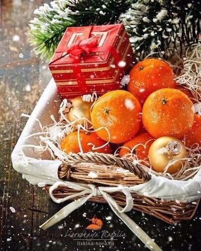    - 31  2015  10:46 - 2