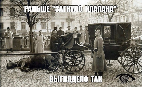    - 29  2015  08:42