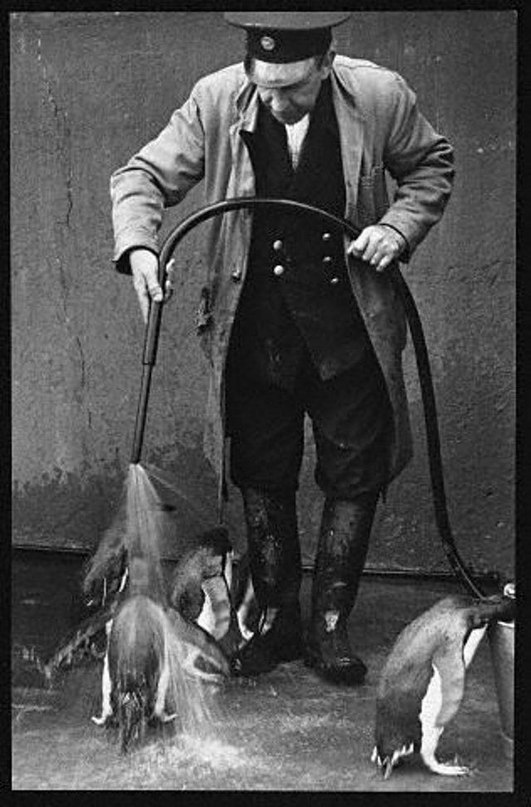     , 1930- - 3