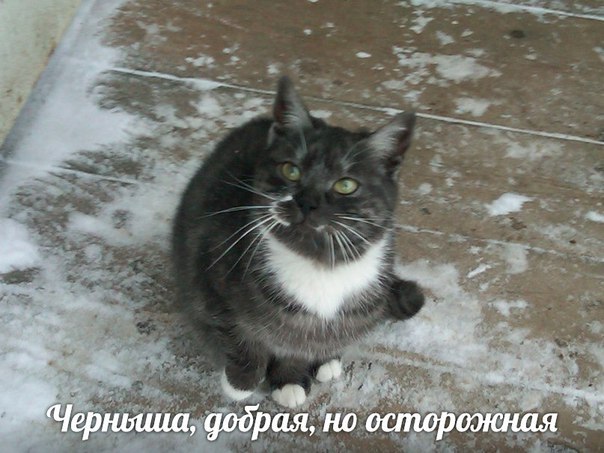 !    !  !    (((    ...