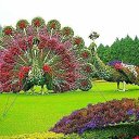  , , 52  -  11  2015   !!!