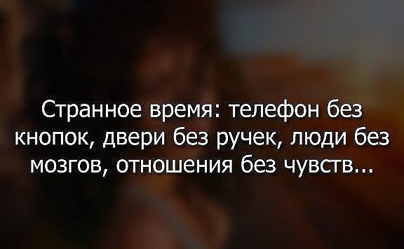 ������ ������ - 5 ������ 2015 � 19:02
