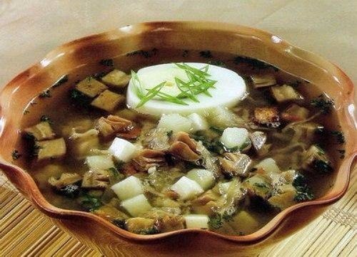 Окрошка грибная.Ингредиенты:Грибы сухие — 100 гЯйцо куриное — 2 шт.Лук зеленый — 4 стебляКвас ...