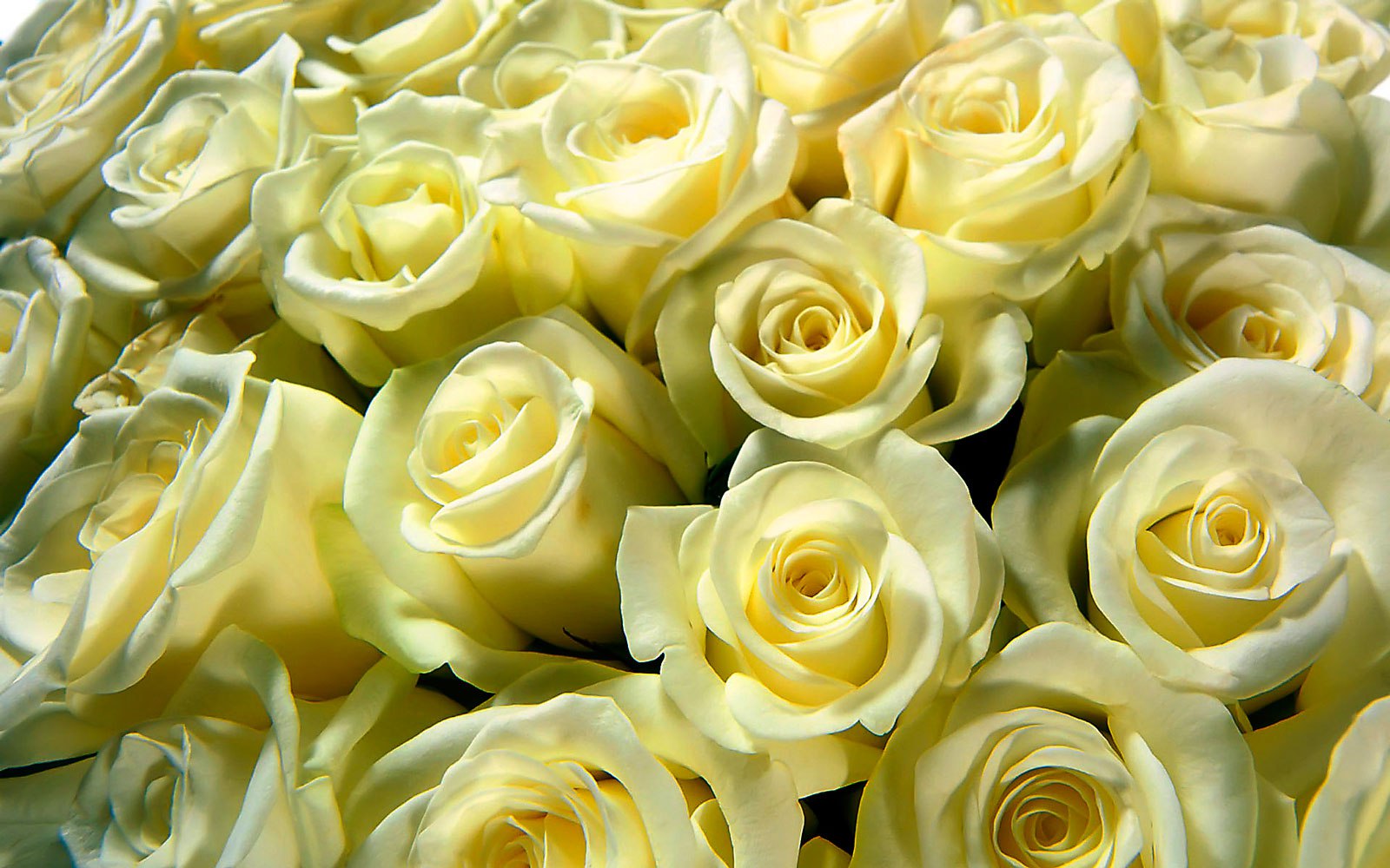 ��������� ������� � �������� �����. ������ �� ���������? - 4