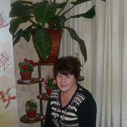 �������, ����������, 69 ���