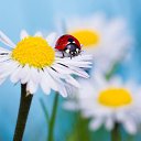 ���� ��������, ������� - ��������� 12 ������� 2016 � ������ ���� ����������