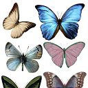  ,  -  18  2016     Ȼ