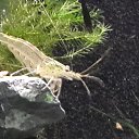 ���� ������, ������, 59 ��� - ��������� 21 ������� 2015 � ������ ���� ����������