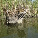 ���� Lui, ��������� - ��������� 24 ������ 2015 � ������ ���� ����������