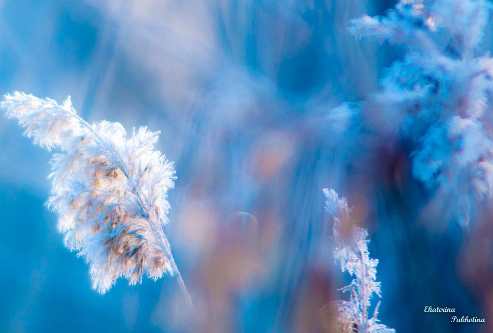 ph: �������� ��������� https://fotostrana.ru/away?to=/sl/8EY - 5